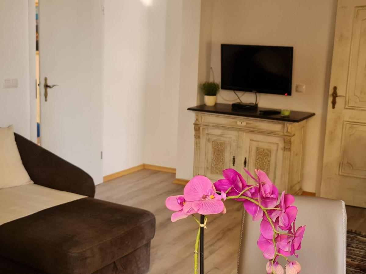 Apartment Rustic